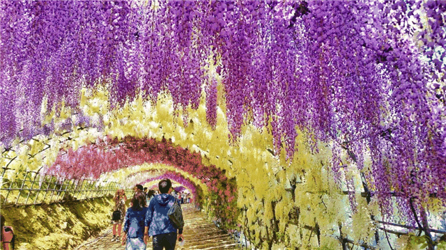 1561179666.png 圖片1.png