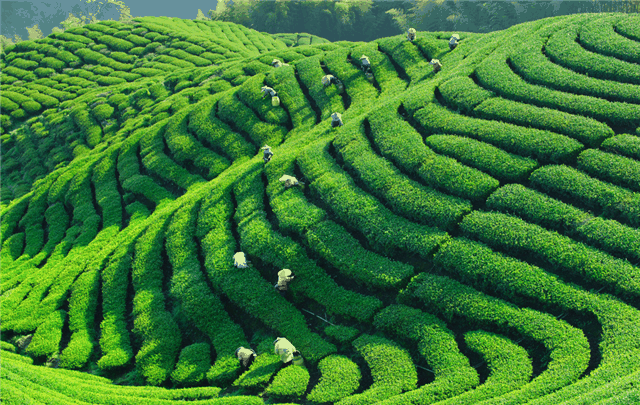 1561180658.png 圖片1.png