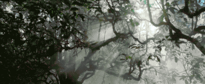 圖片13.png