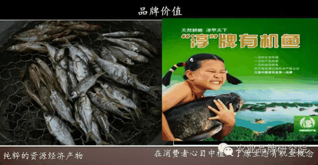 圖片3.png