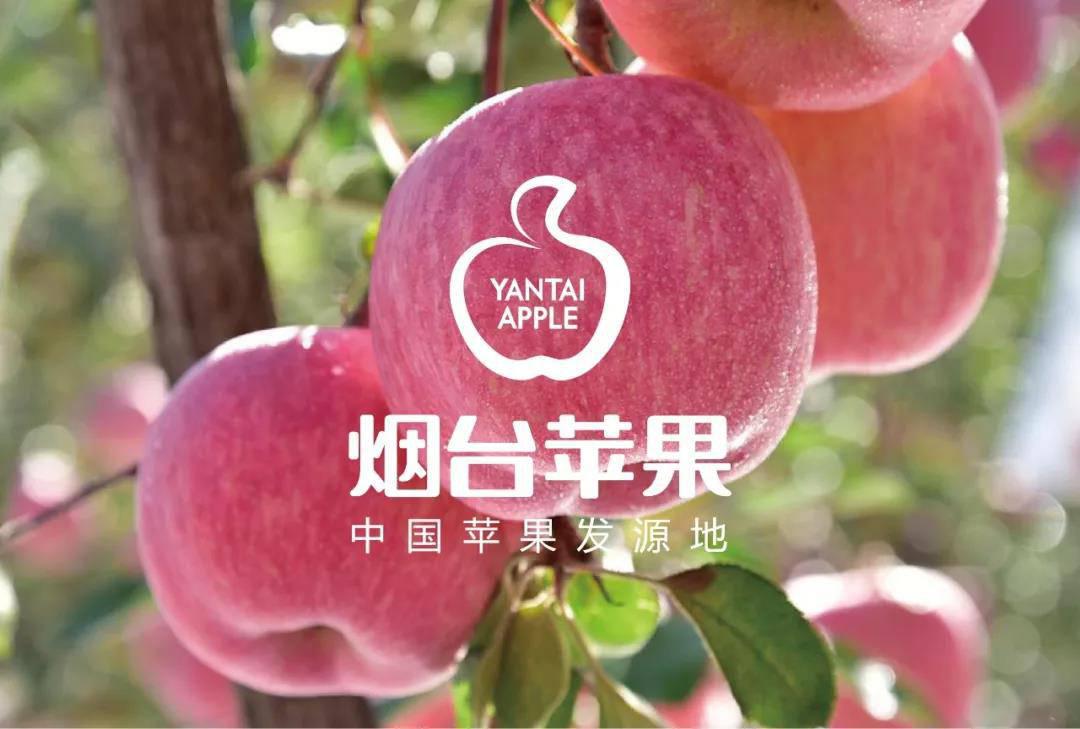 微信圖片_20190312150833.jpg