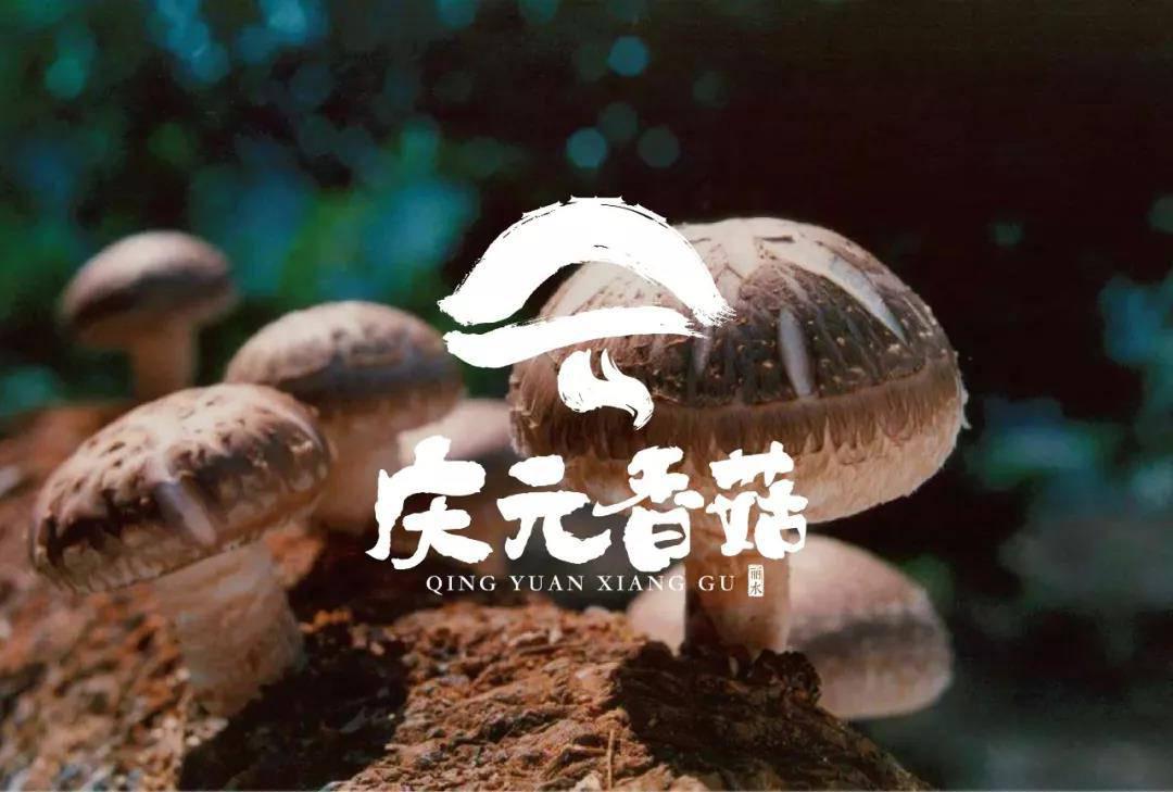微信圖片_20190312150837.jpg
