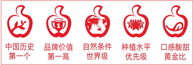 1564996077.png 6360892756828607681782428.png