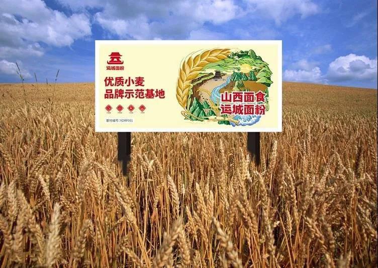 1565575036.jpg 微信圖片_20190812095116.jpg