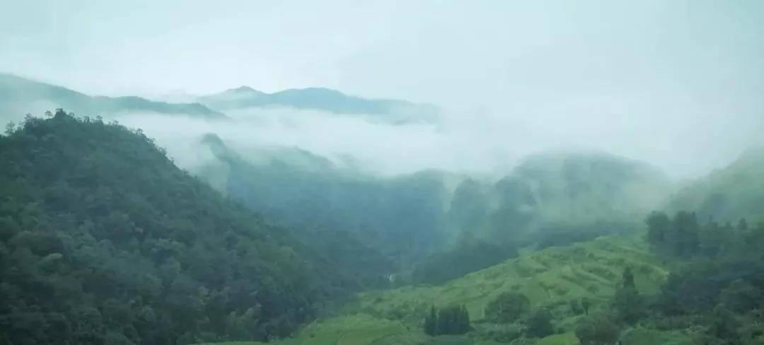 微信圖片_20191106103056.jpg