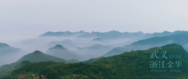 微信圖片_20191126135500.gif