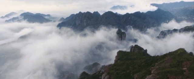 微信圖片_20191126155259.gif