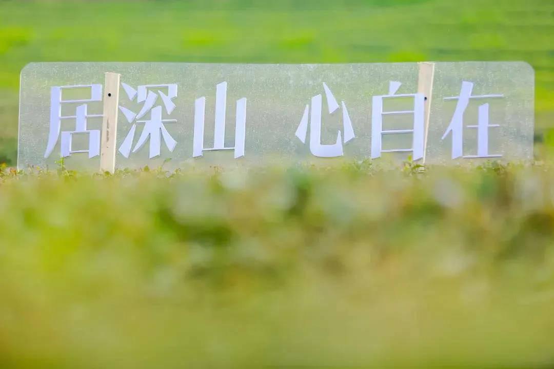 微信圖片_20200422104431.jpg