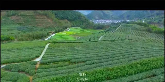微信圖片_20200515162316.jpg