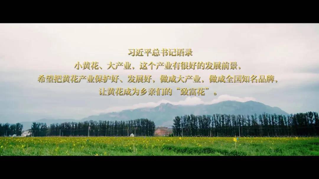 微信圖片_20200713142558.jpg
