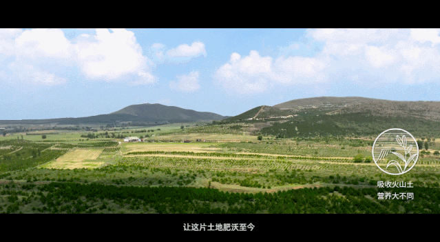 圖片 4.png