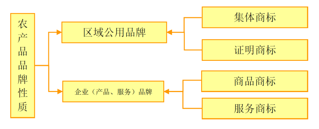 圖片3.png