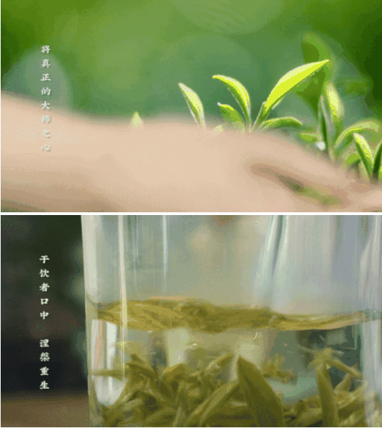 1621404418(1).png