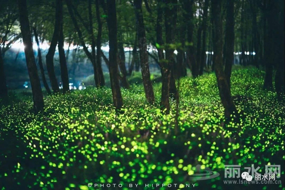 微信圖片_20210527174751.jpg